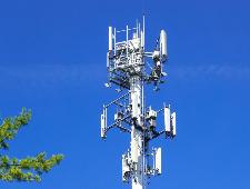 Ульяновская область вошла в пятёрку самых активных регионов по количеству участников голосования за установку вышек сотовой связи на Госуслугах