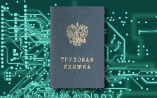 Жители Ульяновской области подали 34 620 заявлений о ведении электронной трудовой книжки